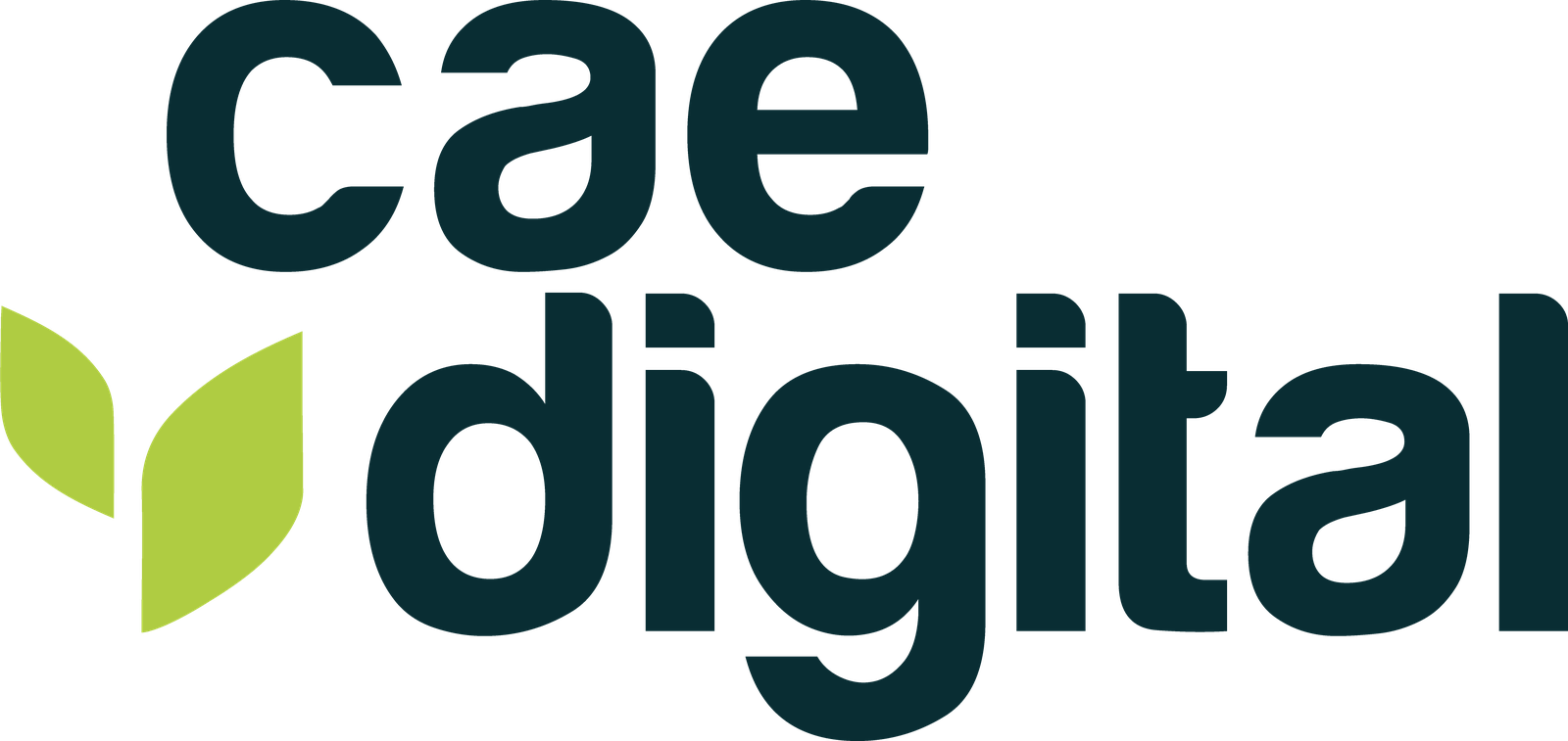 CAE Digital